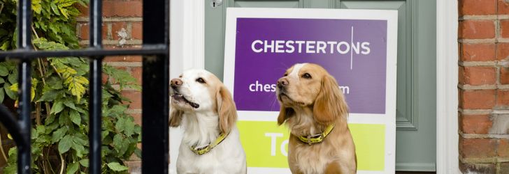 Chestertons supports Lets with Pets 